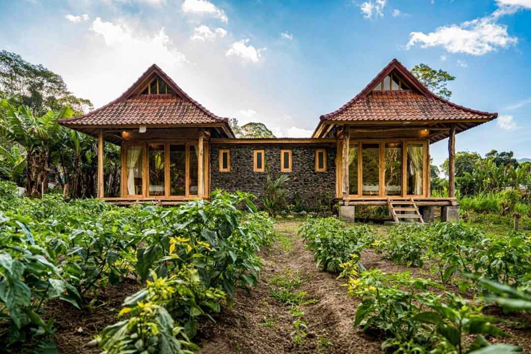 Kintamani Pondok Manoka מראה חיצוני תמונה